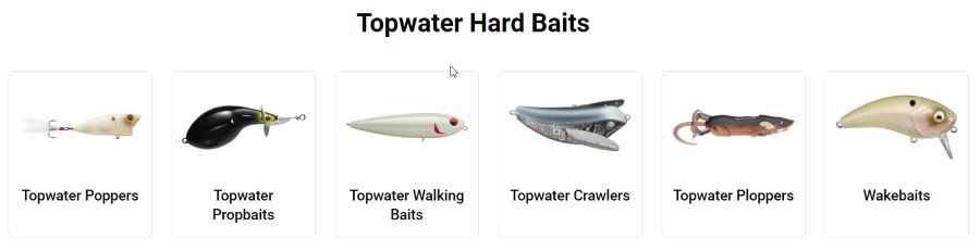 topwater Bait