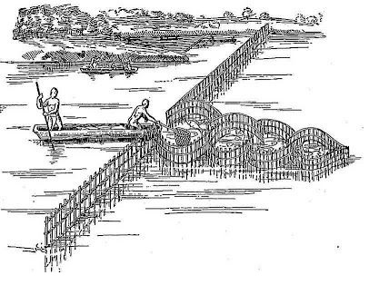 the use of weirs, intricate structures that trap fish