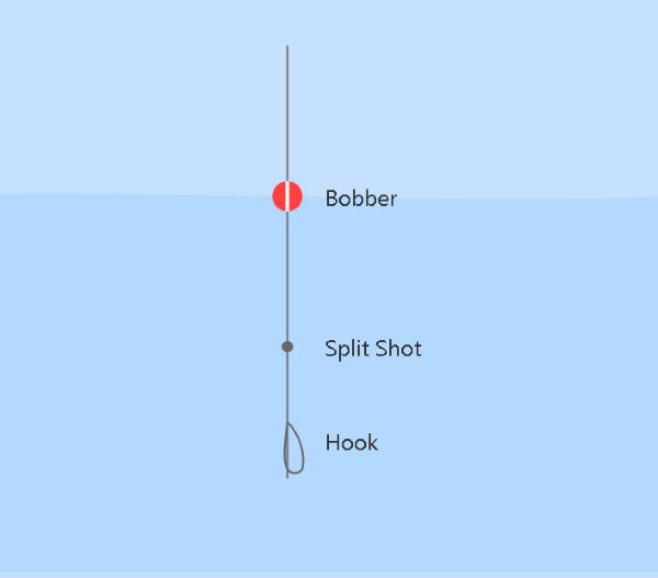 Basic Bobber Rig Setup