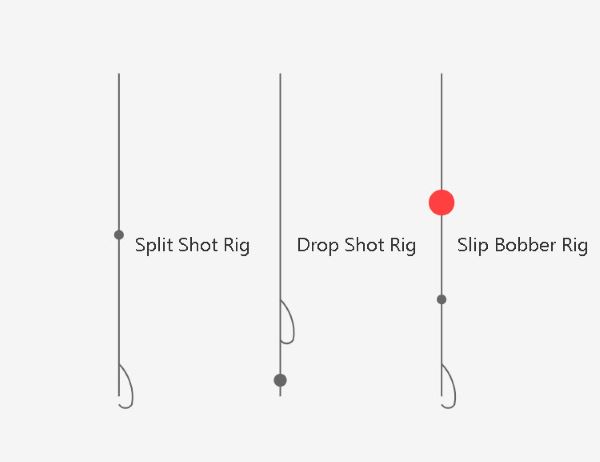 Common Sunfish Fishing Rigs